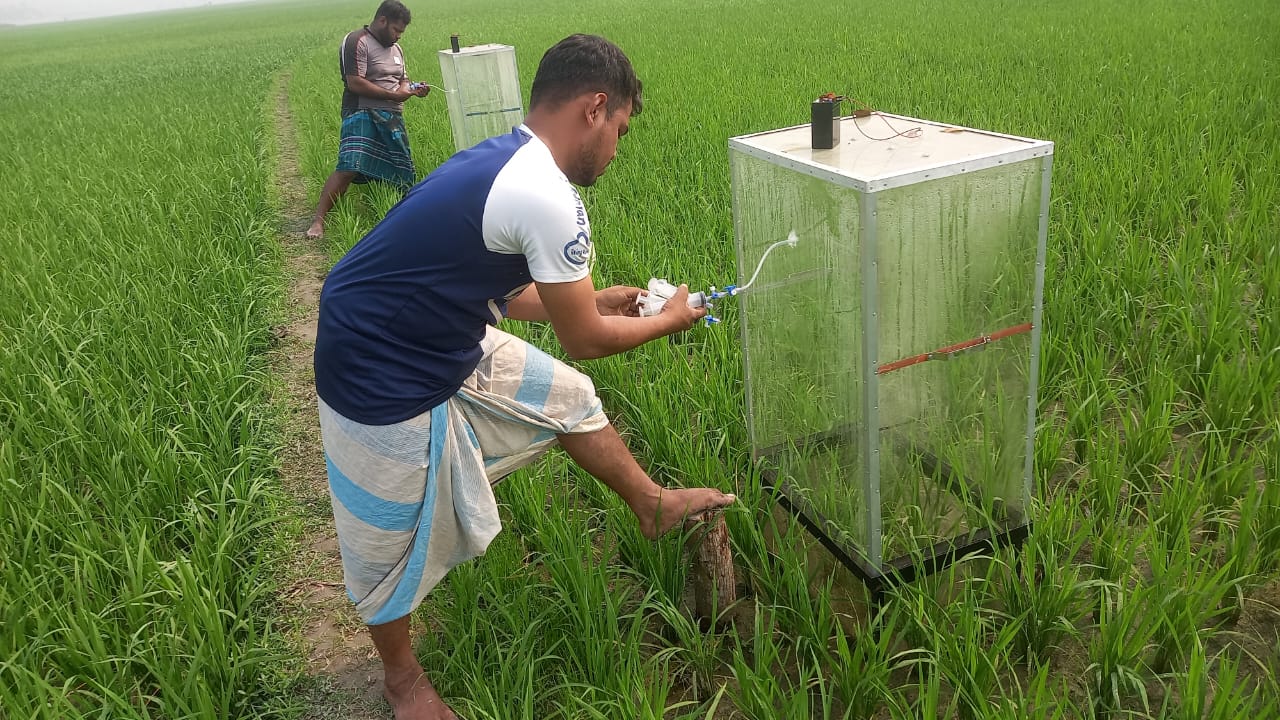 Creattura AWD/JCM Project in Narsingdi